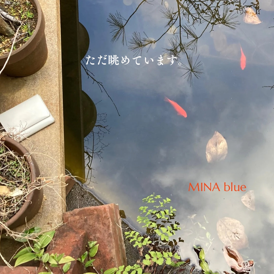 革と七十二候｜第3候｜魚上氷(うお こおりを いずる)｜2月14日 - 18日