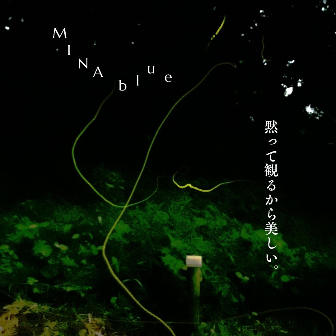 革と七十二候｜第26候｜腐草為蛍(くされたる くさ ほたると なる)｜6月10日 - 15日