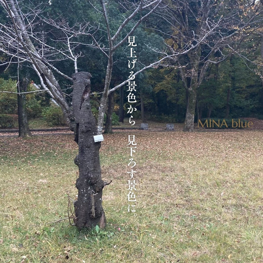 革と七十二候｜第59候｜朔風払葉｜11月27日 - 12月1日