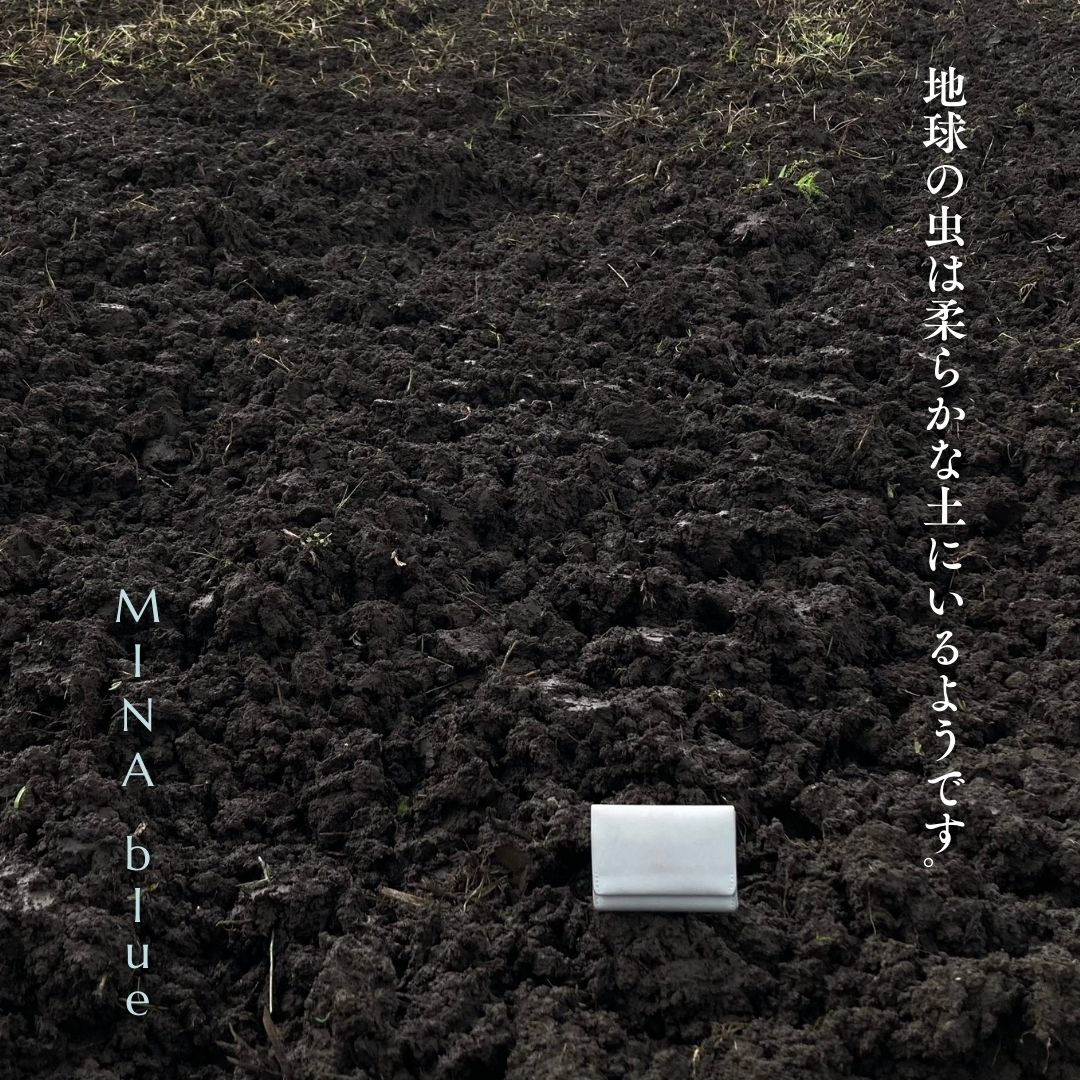 革と七十二候｜第20候｜蚯蚓出(みみず いずる)｜5月10日 - 14日