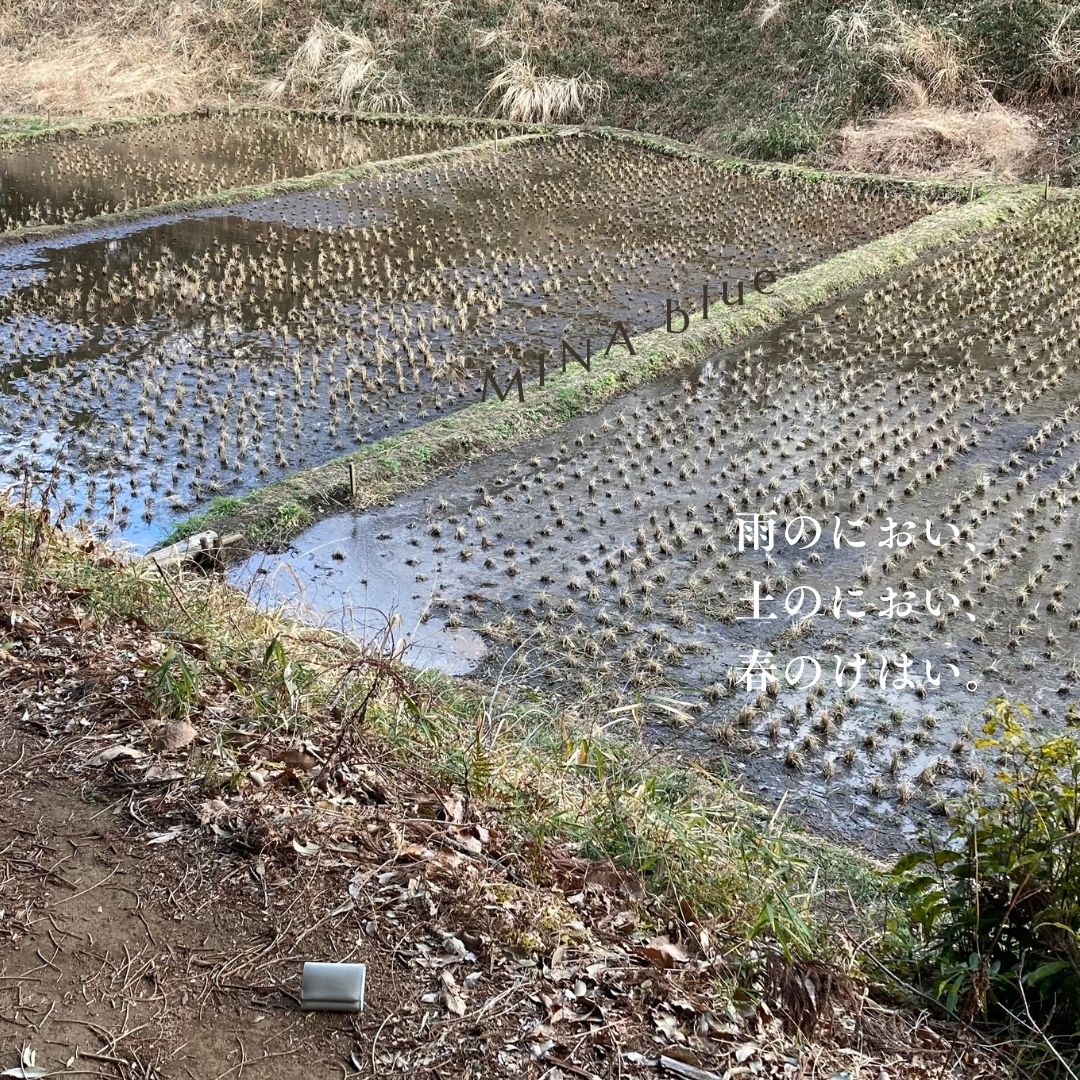 革と七十二候｜第4候｜土脉潤起(つちのしょう うるおい おこる)｜2月19日 - 23日