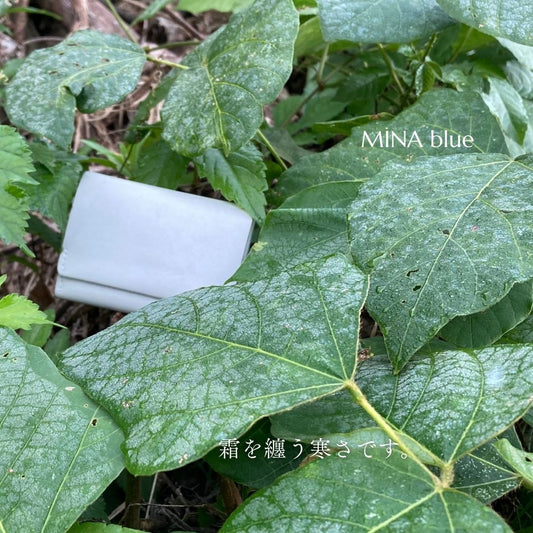 革と七十二候｜第52候｜霜始降｜10月24日 - 28日
