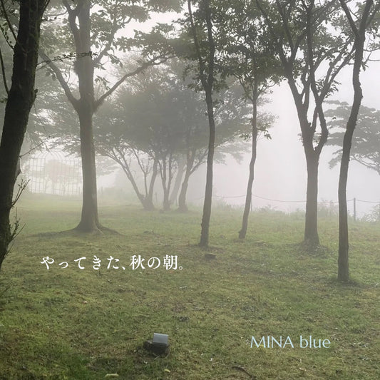 革と七十二候｜第39候｜蒙霧升降(ふかき きり まとう)｜8月17日 - 21日