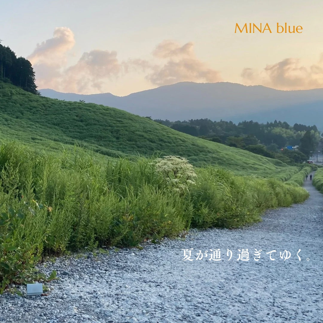 革と七十二候｜第38候｜寒蝉鳴(ひぐらし なく)｜8月12日 - 16日