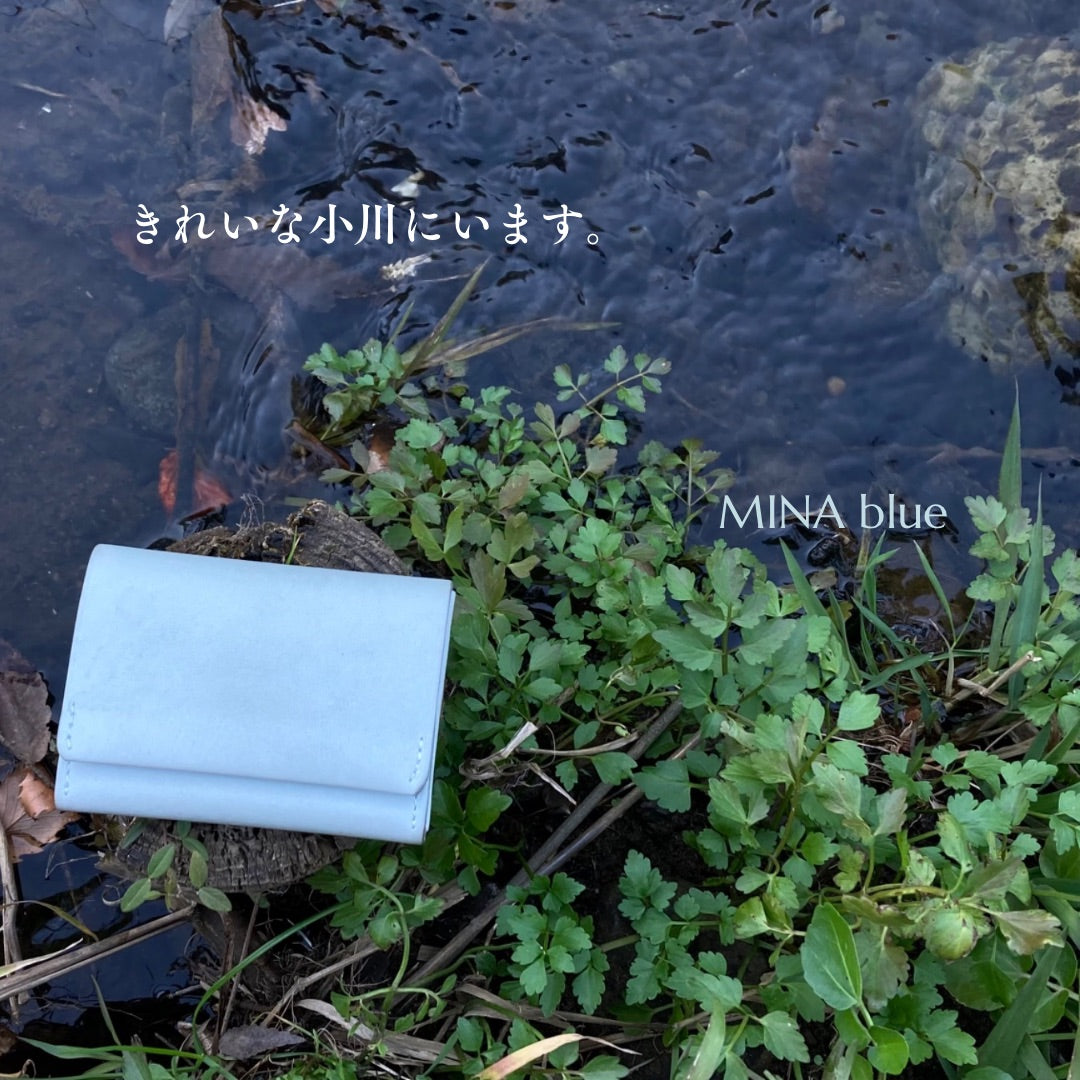 革と七十二候｜第67候｜芹乃栄(せり すなわち さかう)｜1月6日 - 10日