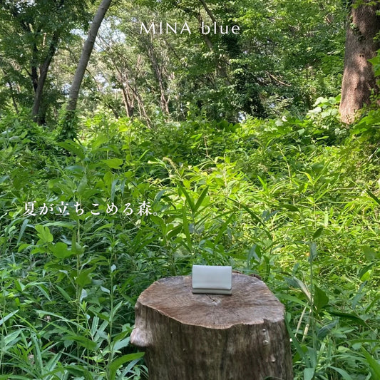 革と七十二候｜第35候｜土潤溽暑(つち うるおうて むしあつし)｜7月27日 - 8月1日