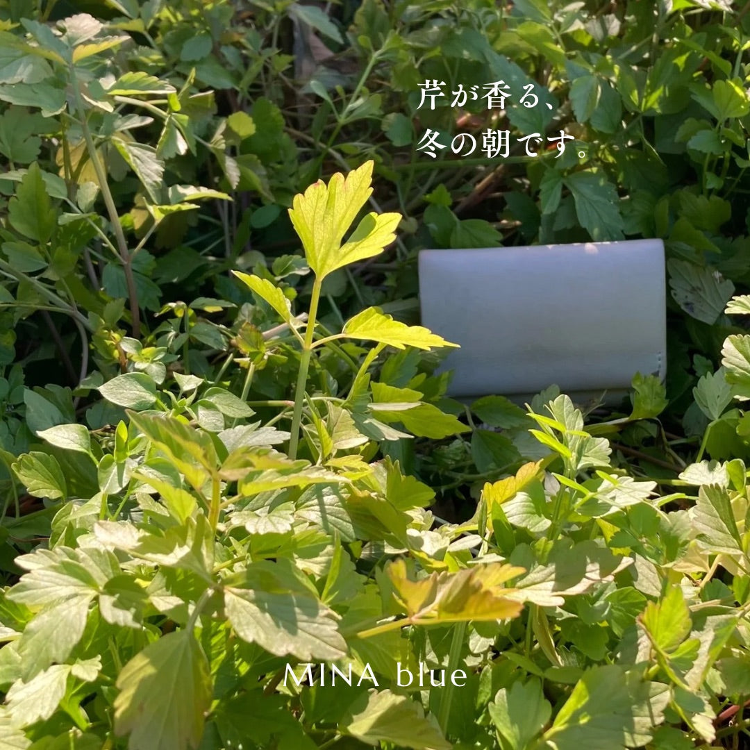 革と七十二候｜第67候｜芹乃栄(せり すなわち さかう)｜1月5日 - 9日