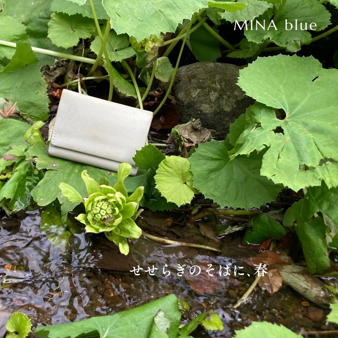 革と七十二候｜第70候｜款冬華(ふきのはな さく)｜1月20日 - 24日