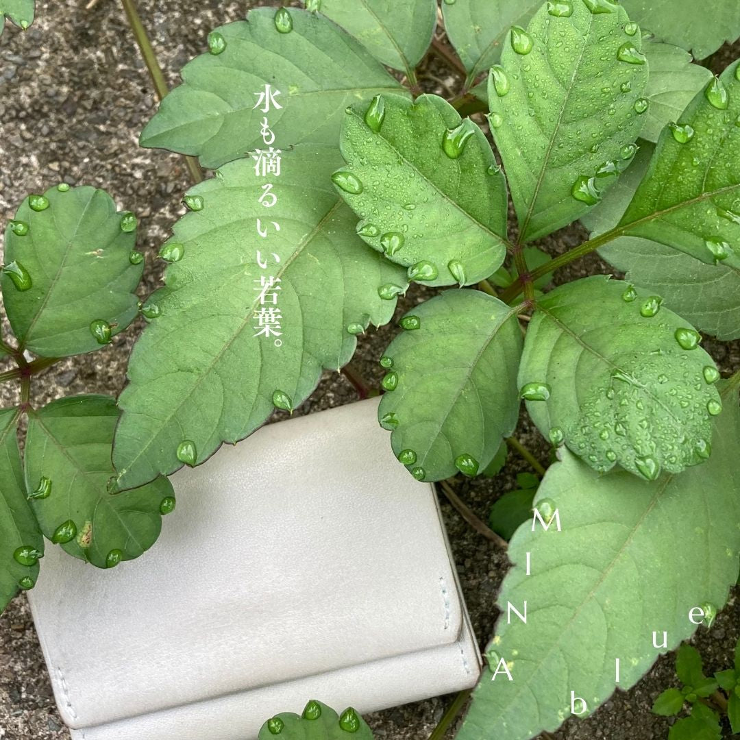 革と七十二候｜第43候｜草露白(くさの つゆ しろし)｜9月7日 - 11日