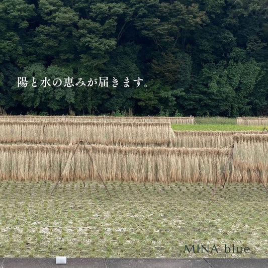 革と七十二候｜第48候｜水始涸(みず はじめて かるる)｜10月3日 - 7日
