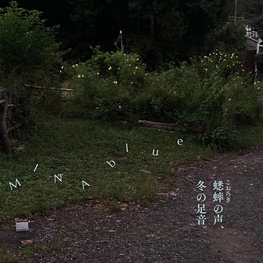 革と七十二候｜第51候｜蟋蟀在戸(きりぎりす とに あり)｜10月18日 - 22日