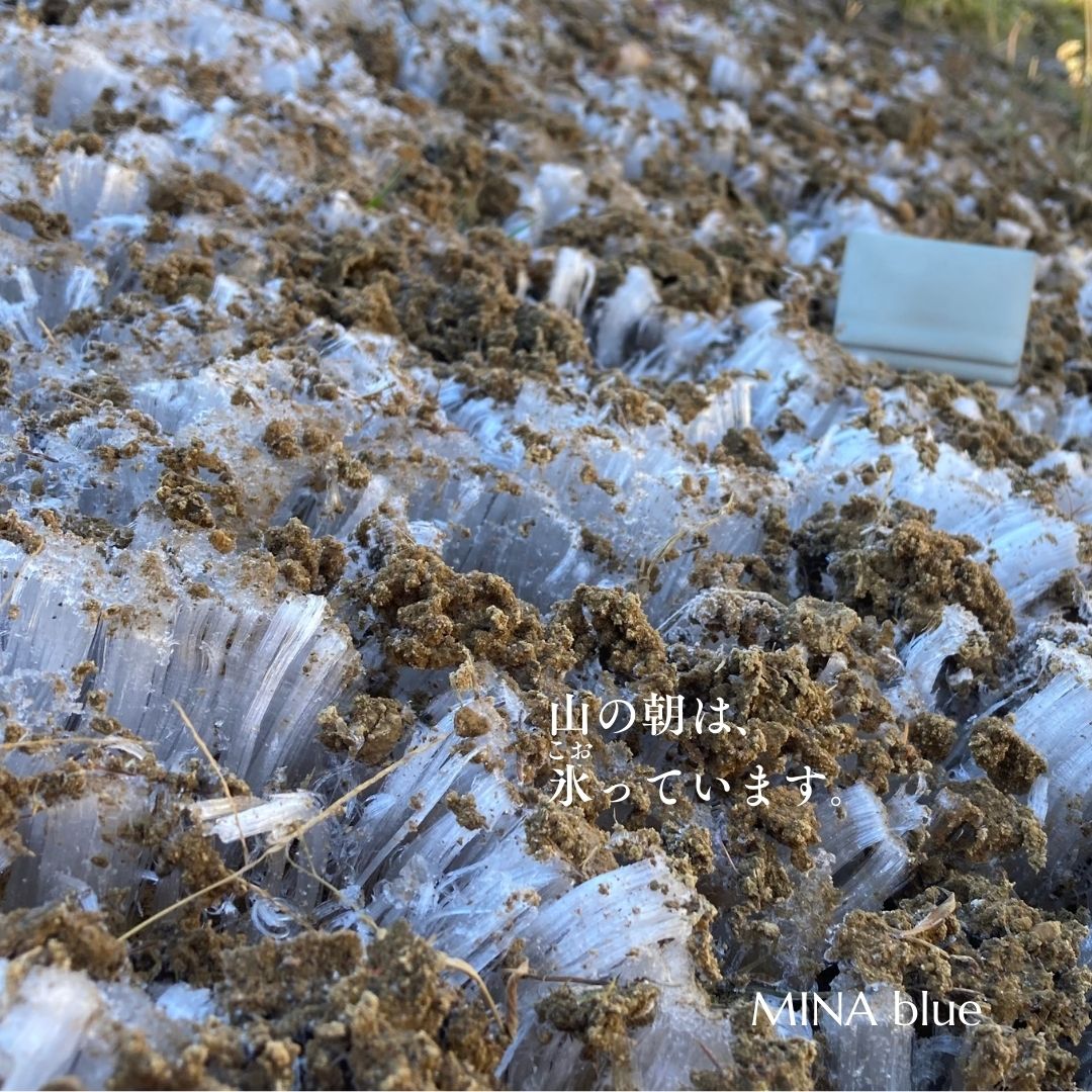 革と七十二候｜第56候｜地始凍(ち はじめて こおる)｜11月12日 - 16日