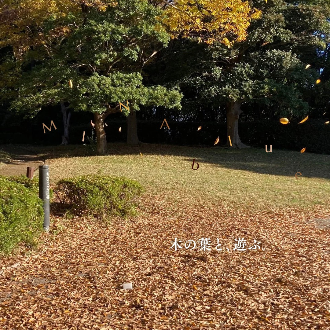 革と七十二候｜第59候｜朔風払葉(きたかぜ このはを はらう)｜11月27日 - 12月1日