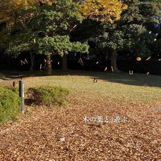 革と七十二候｜第59候｜朔風払葉(きたかぜ このはを はらう)｜11月27日 - 12月1日